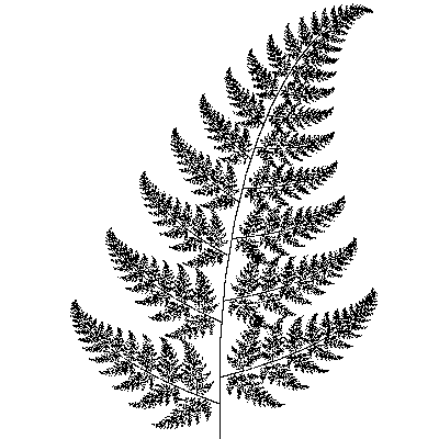 0_fern